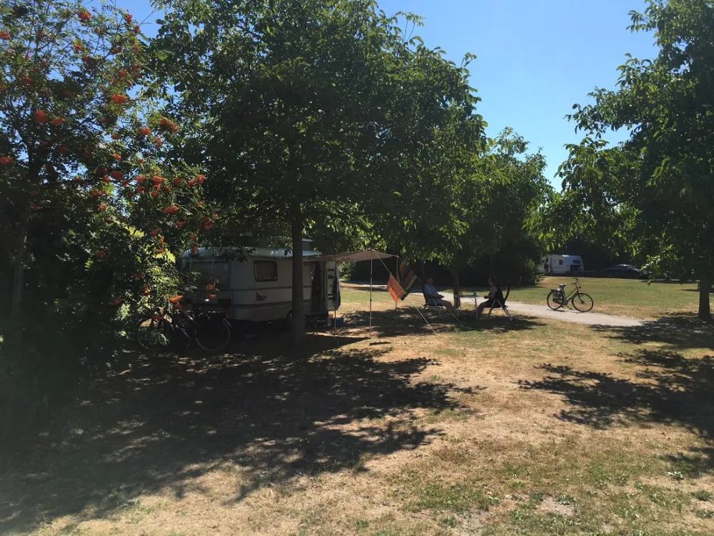 Wijndomein Erve Wisselink