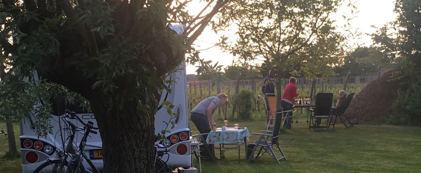 Wijndomein Erve Wisselink