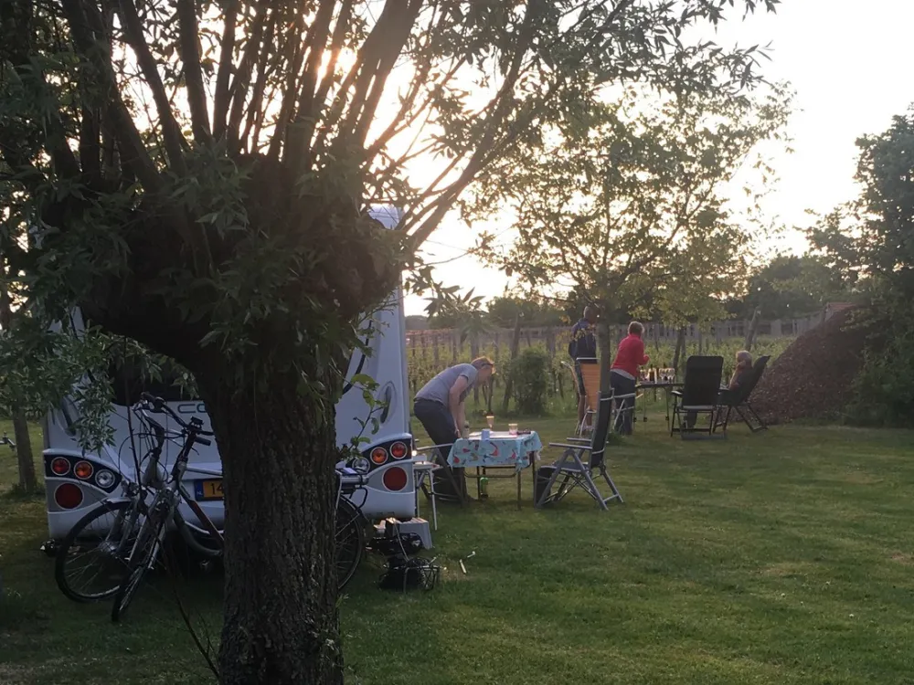 Wijndomein Erve Wisselink