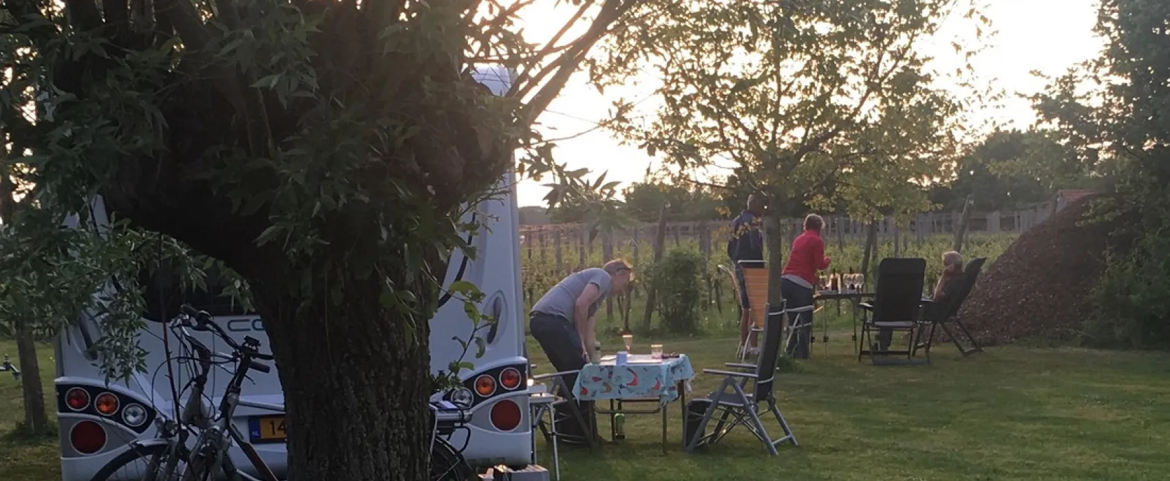 Wijndomein Erve Wisselink