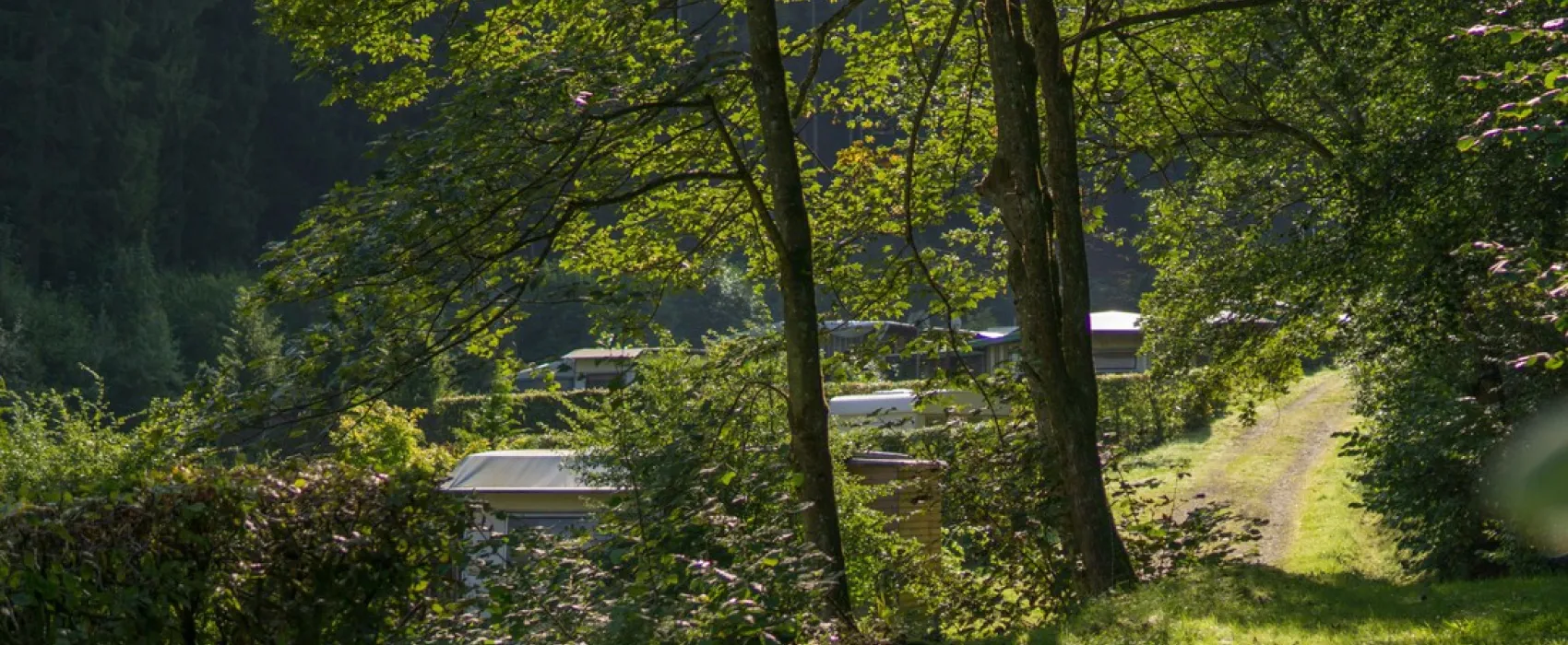 Wildbach (ex Hellenthal)