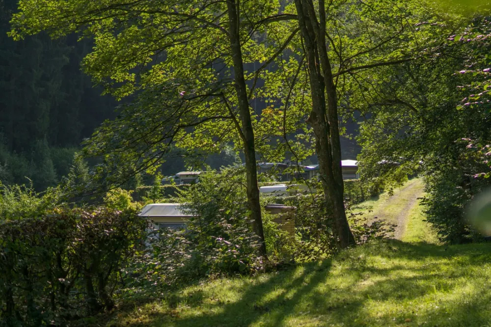 Wildbach (ex Hellenthal)