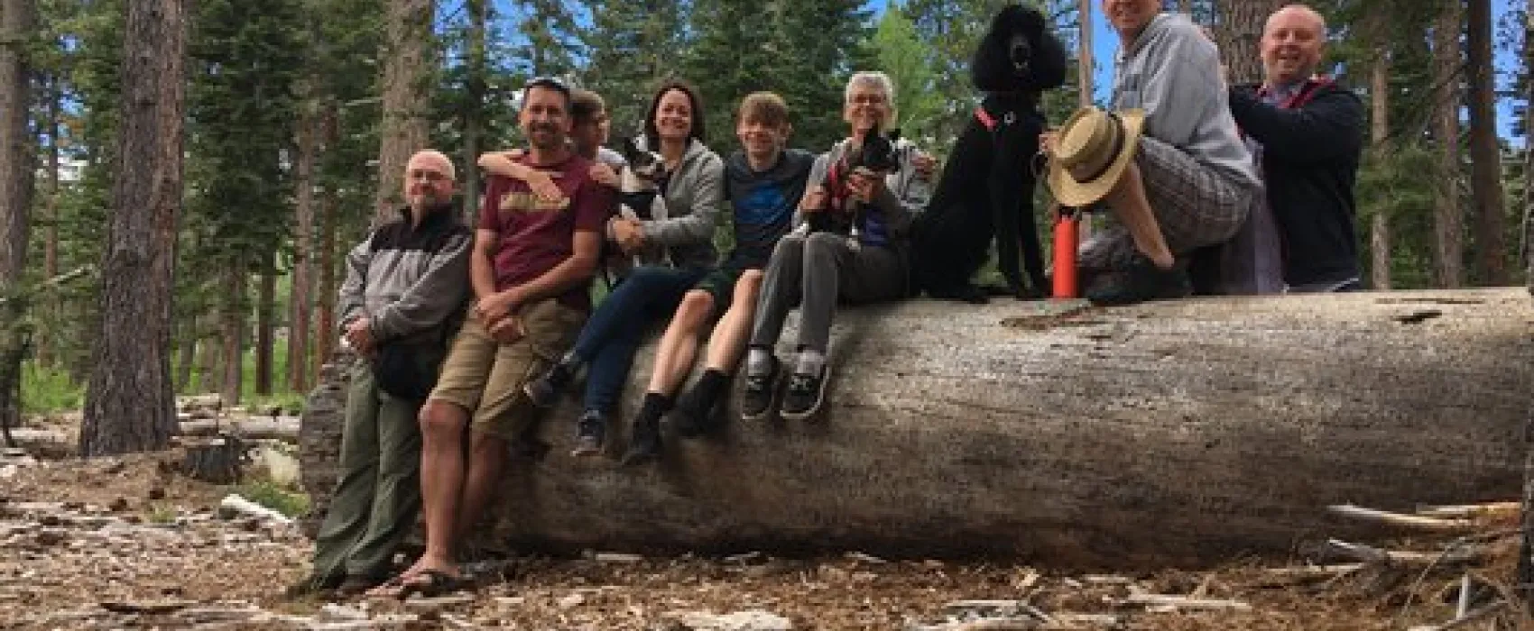 Fallen Leaf Campground