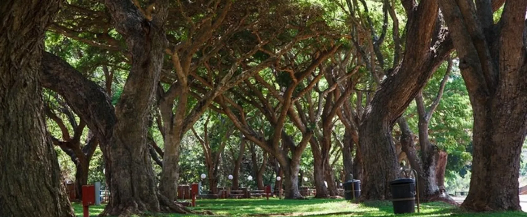 Blyde Canyon A Forever Resort