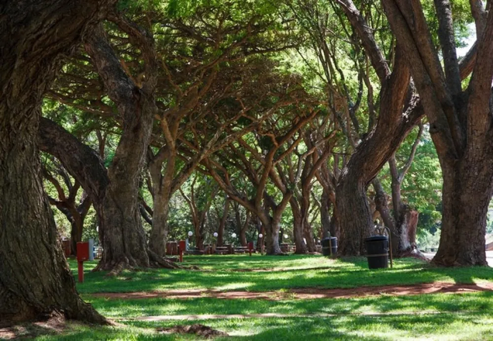 Blyde Canyon A Forever Resort