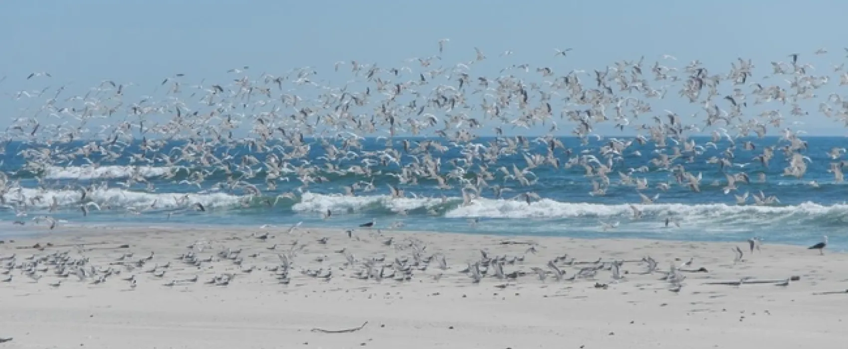 West Coast Luxury Tents