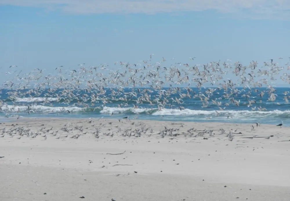 West Coast Luxury Tents