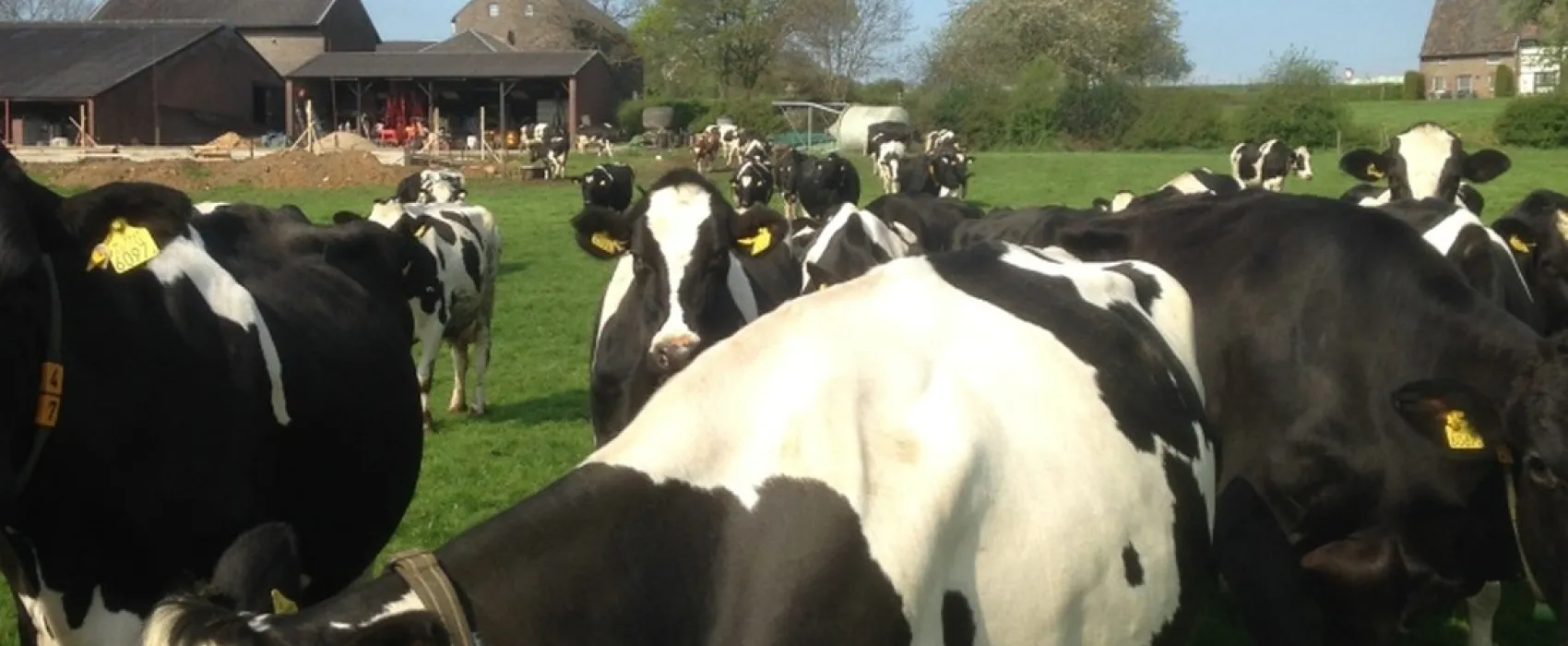 Boerderijcamping Schrouff