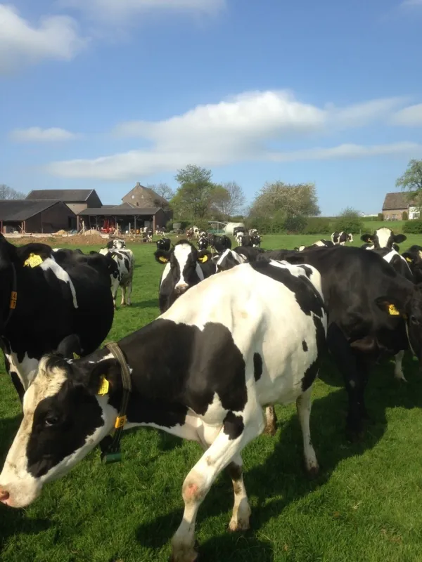 Boerderijcamping Schrouff