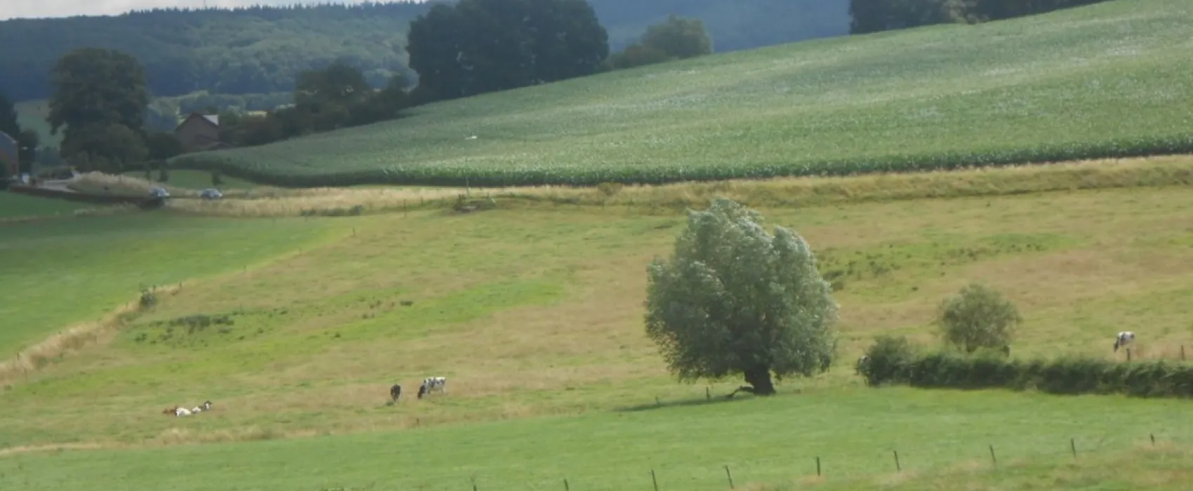 Boerderijcamping Schrouff