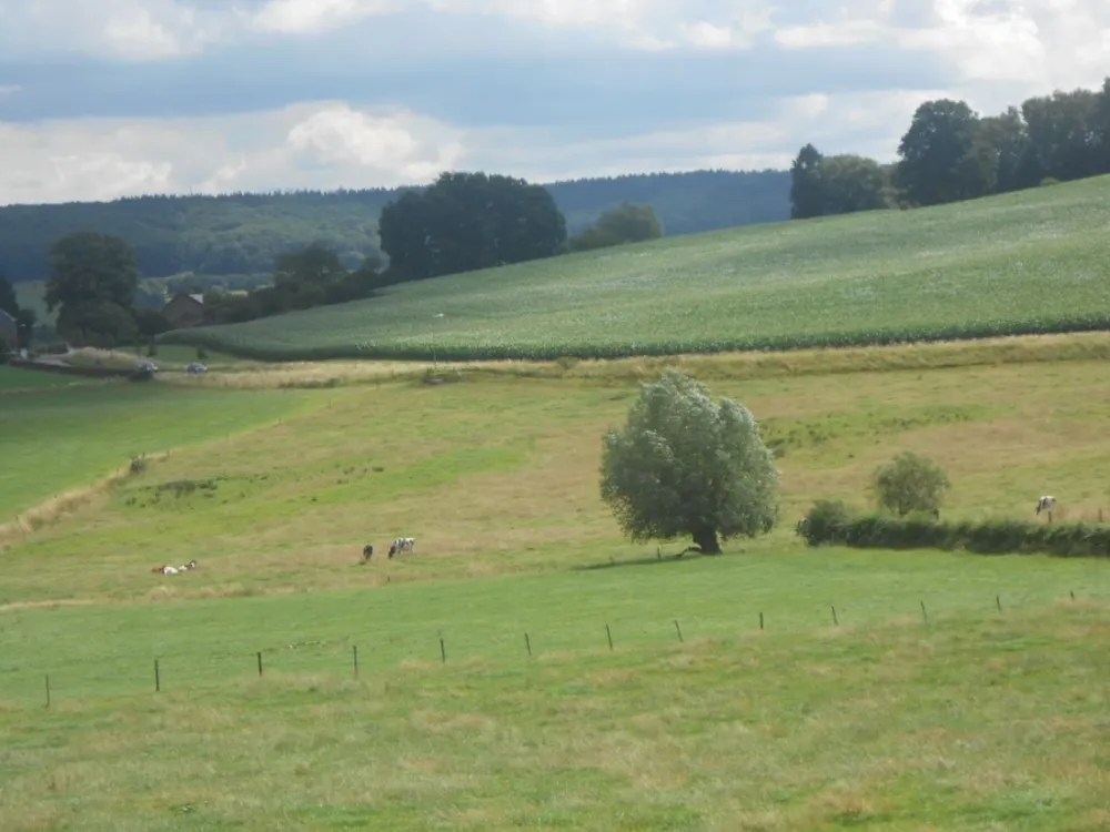 Boerderijcamping Schrouff