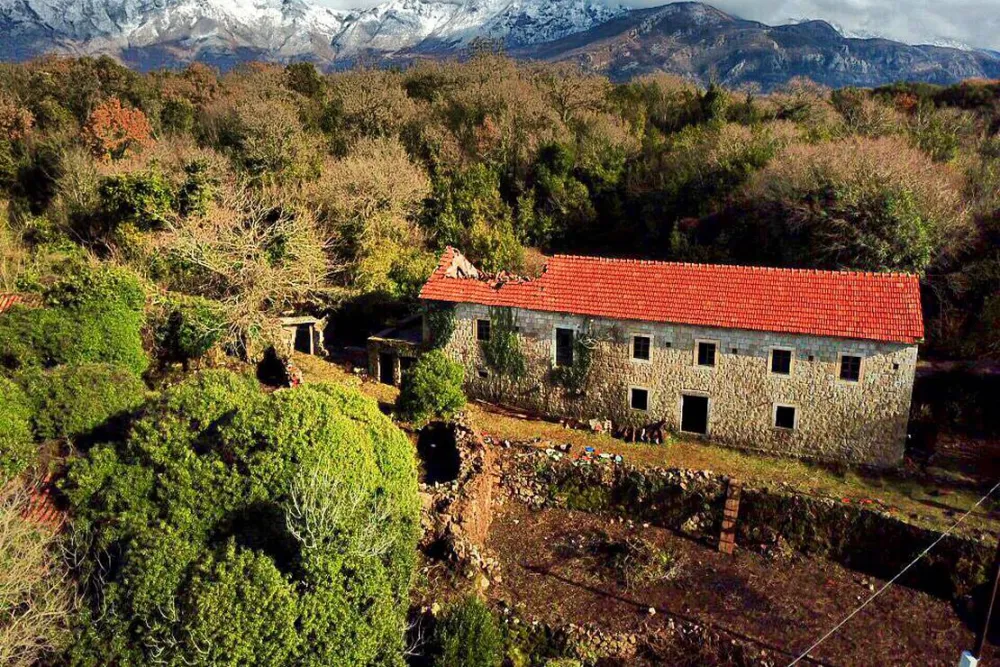 Pachamama Farmstay