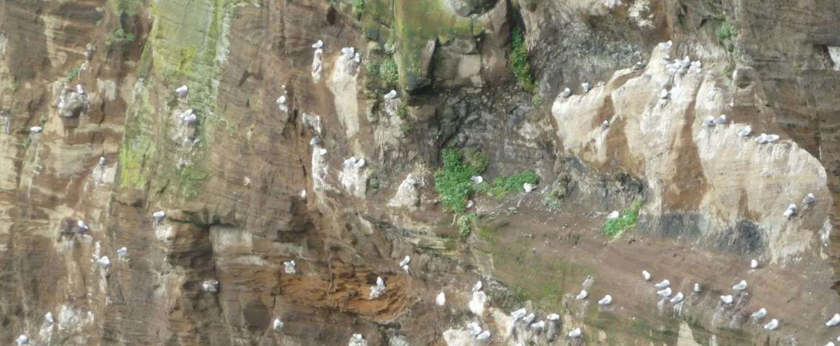 Camping Stykkishólmur