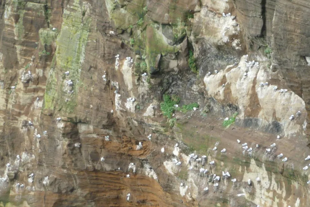 Camping Stykkishólmur