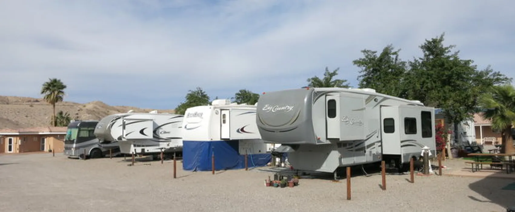 Colorado River Oasis RV Park