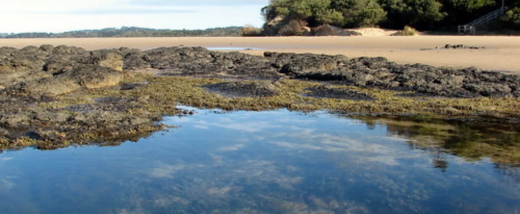 Point Leo Foreshore Reserve Campground
