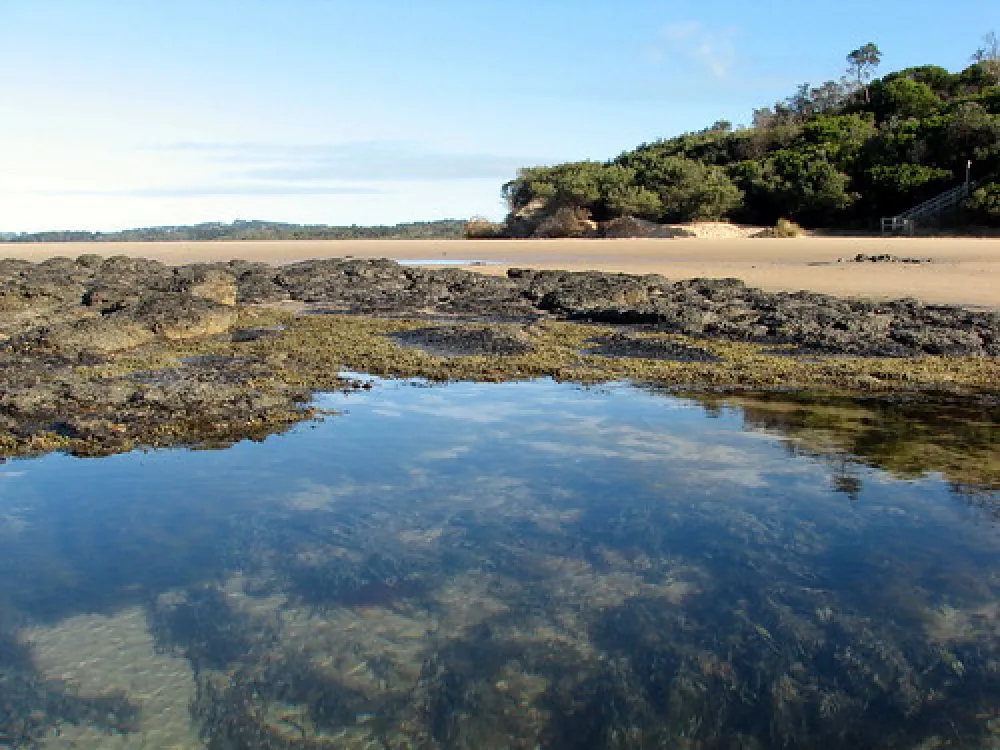 Point Leo Foreshore Reserve Campground