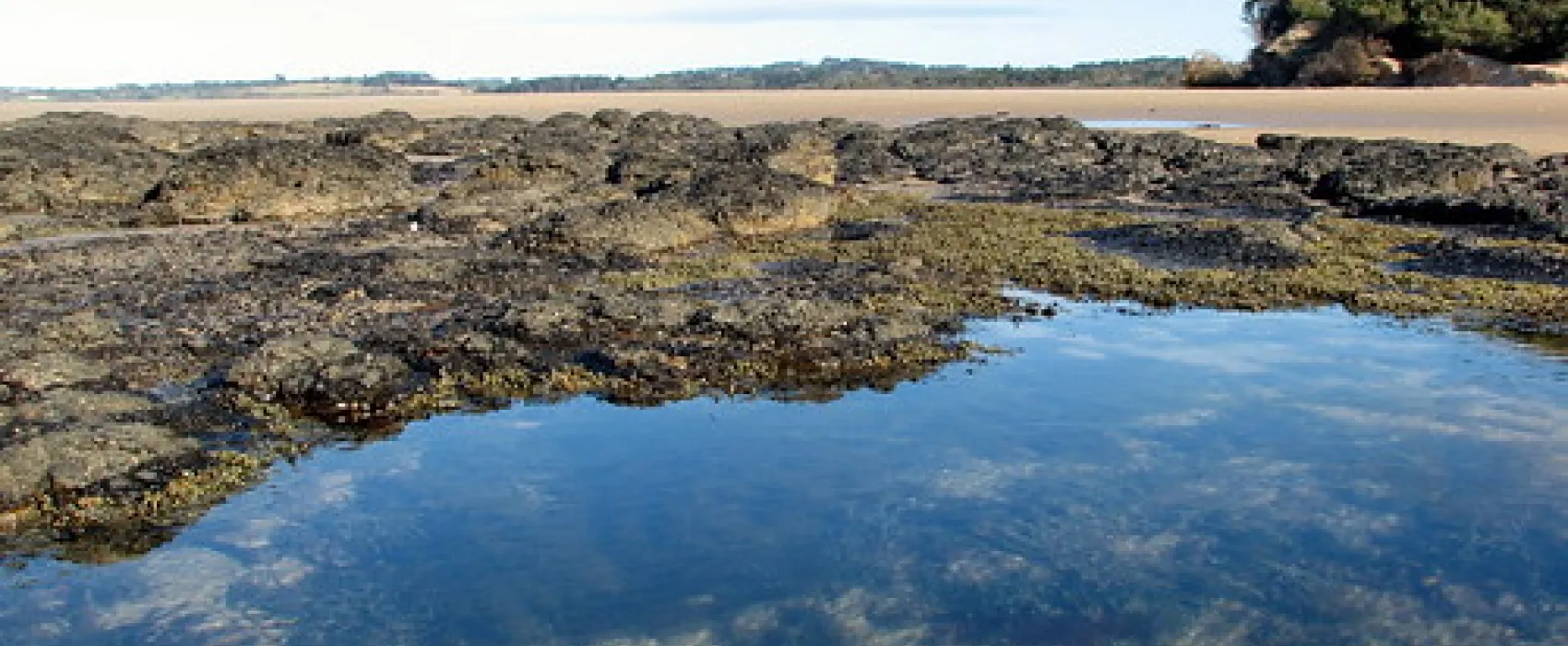 Point Leo Foreshore Reserve Campground