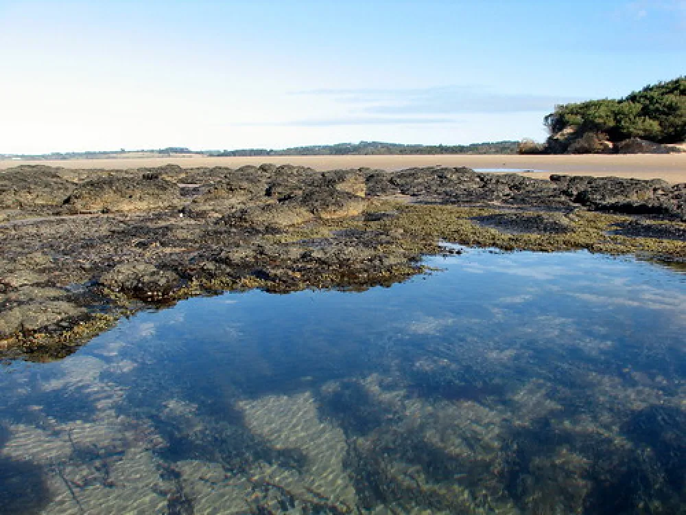 Point Leo Foreshore Reserve Campground