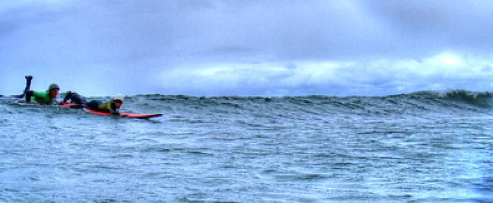 Point Leo Foreshore Reserve Campground