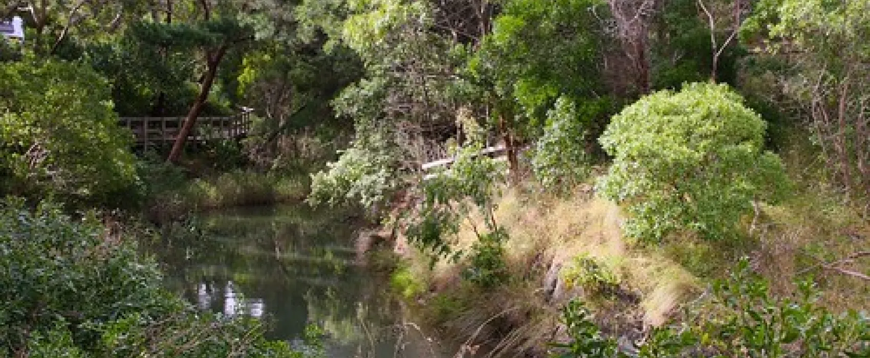 Point Leo Foreshore Reserve Campground