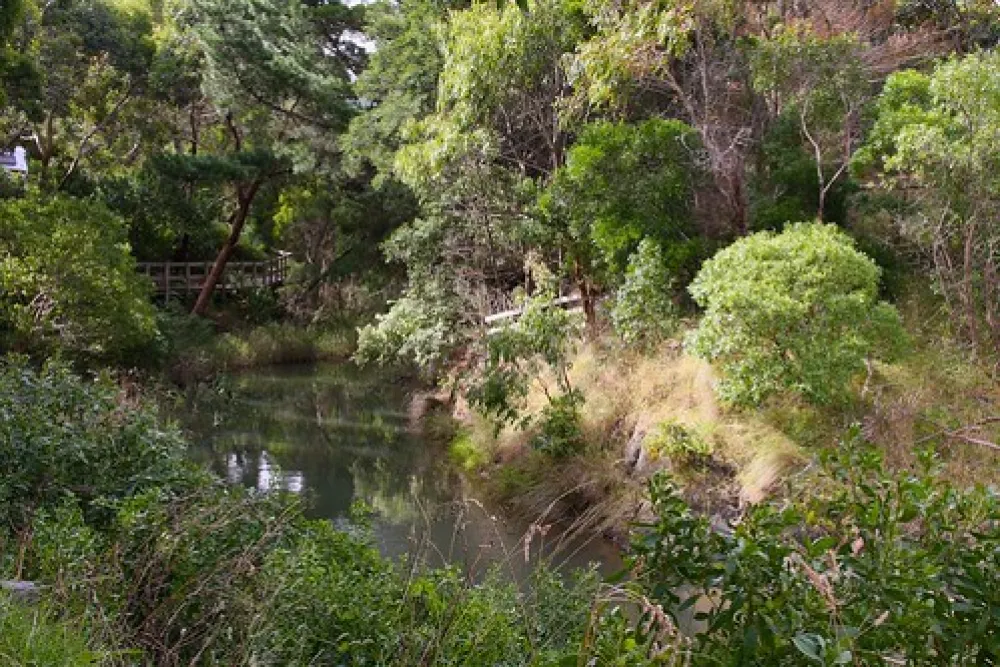 Point Leo Foreshore Reserve Campground