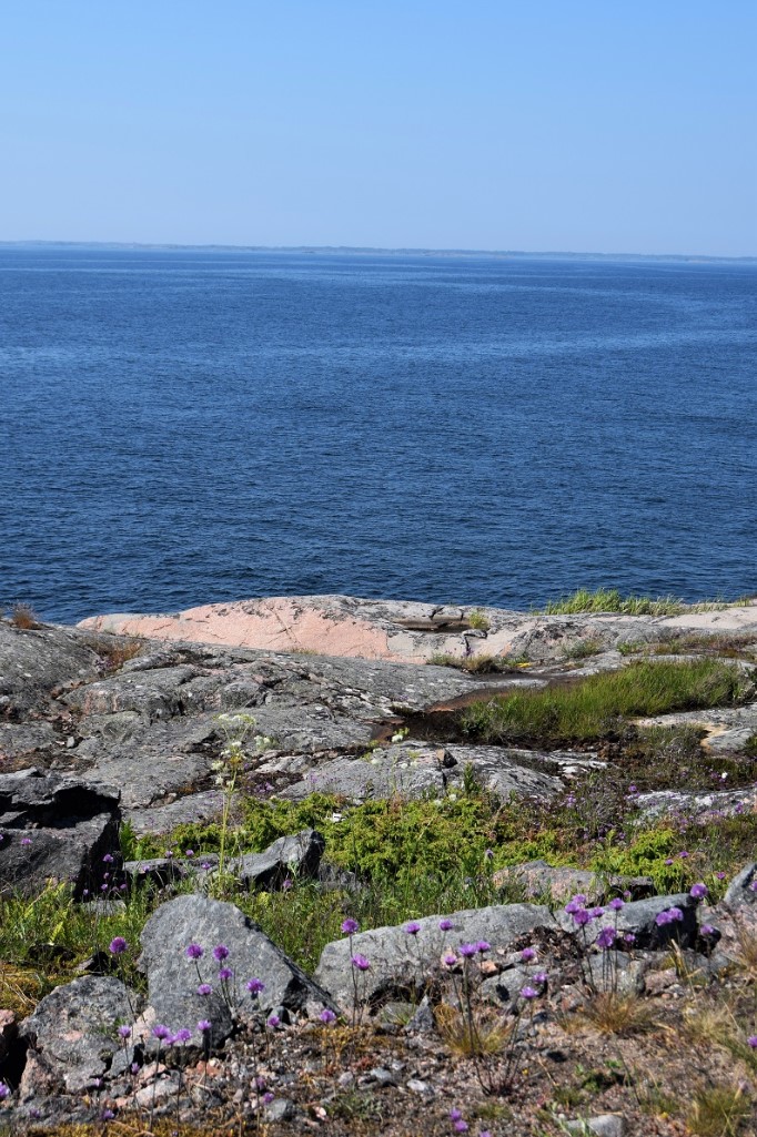 Örö Majoitus photo 2