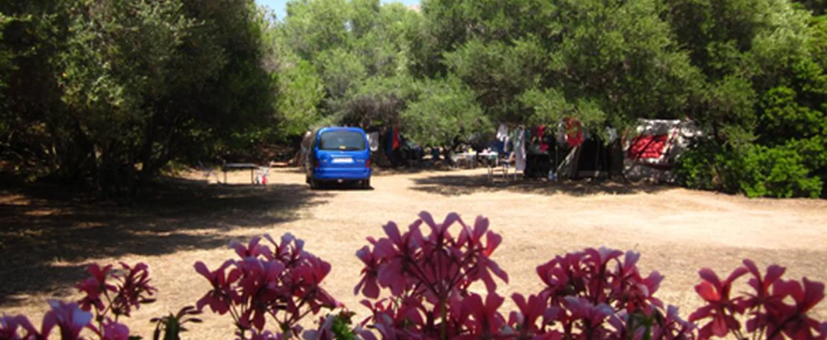 Camping De La Plage D'arone