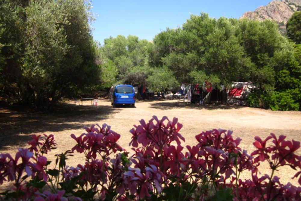 Camping De La Plage D'arone