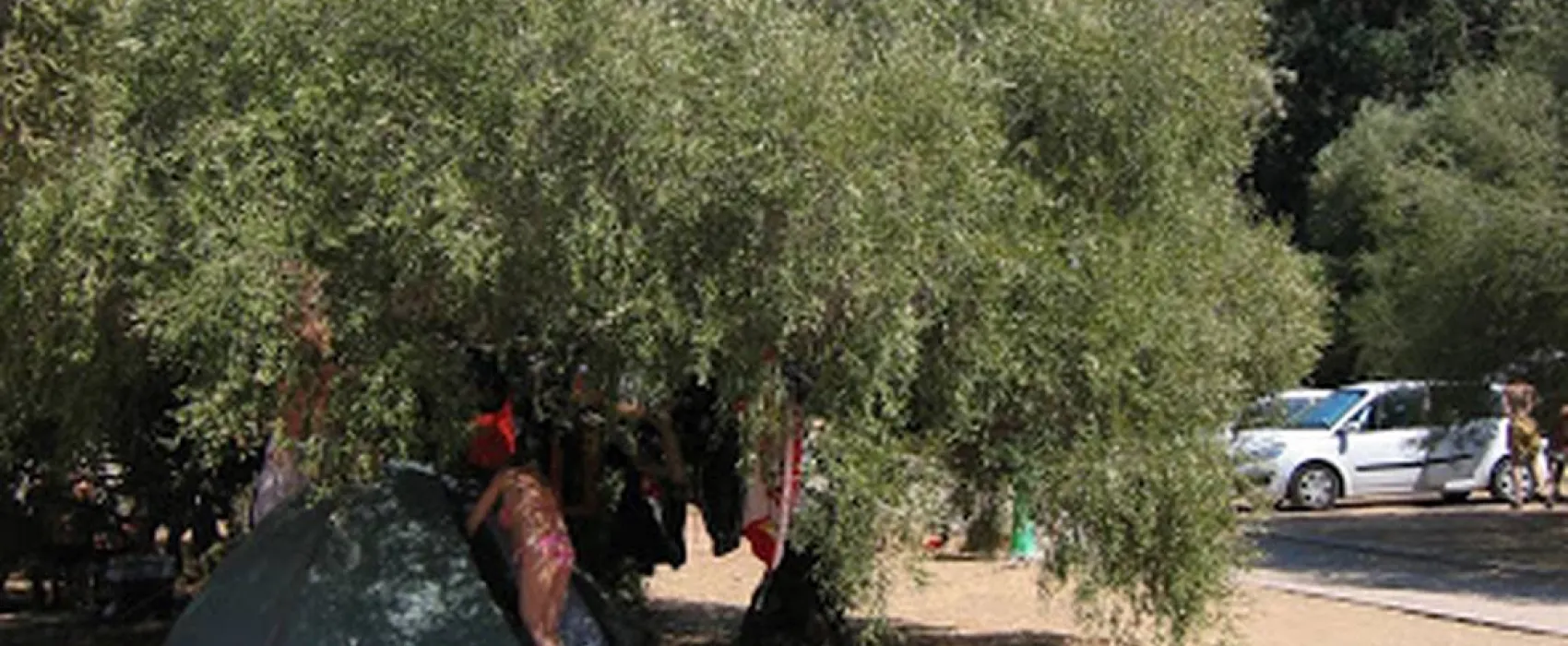 Camping De La Plage D'arone