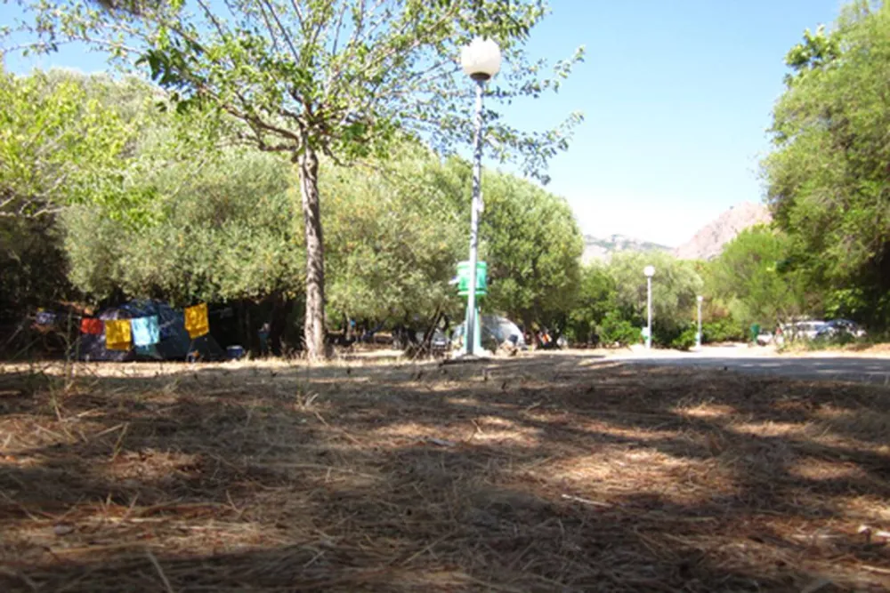 Camping De La Plage D'arone