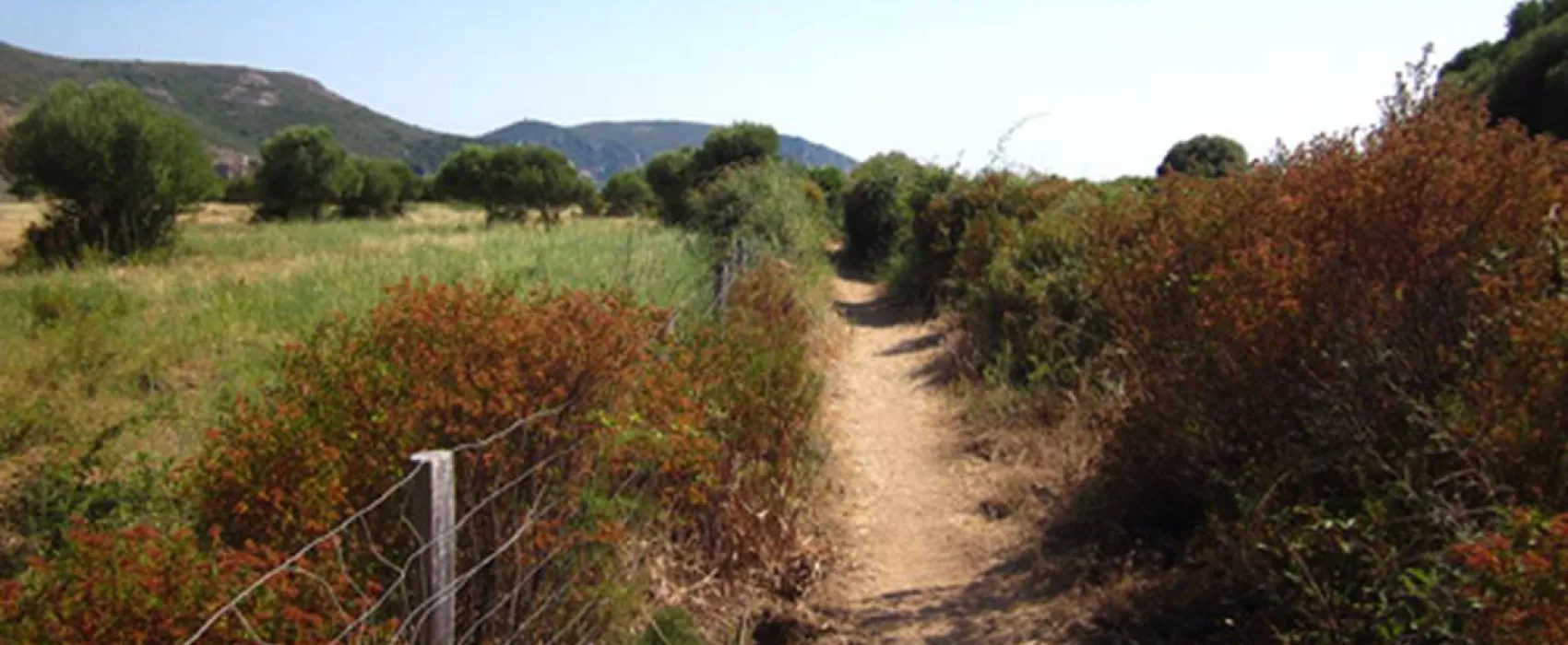 Camping De La Plage D'arone