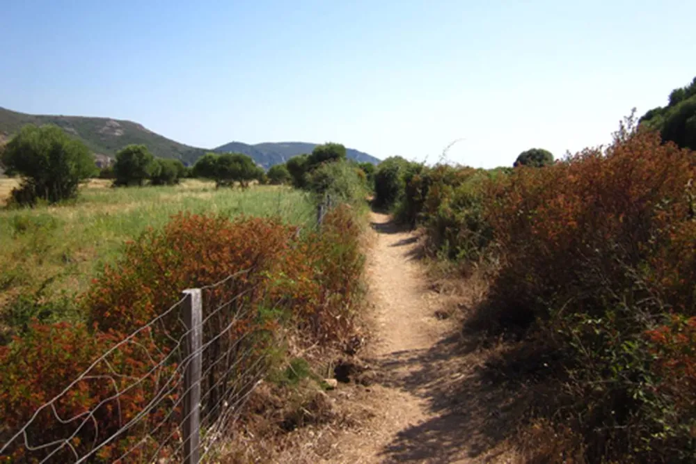 Camping De La Plage D'arone