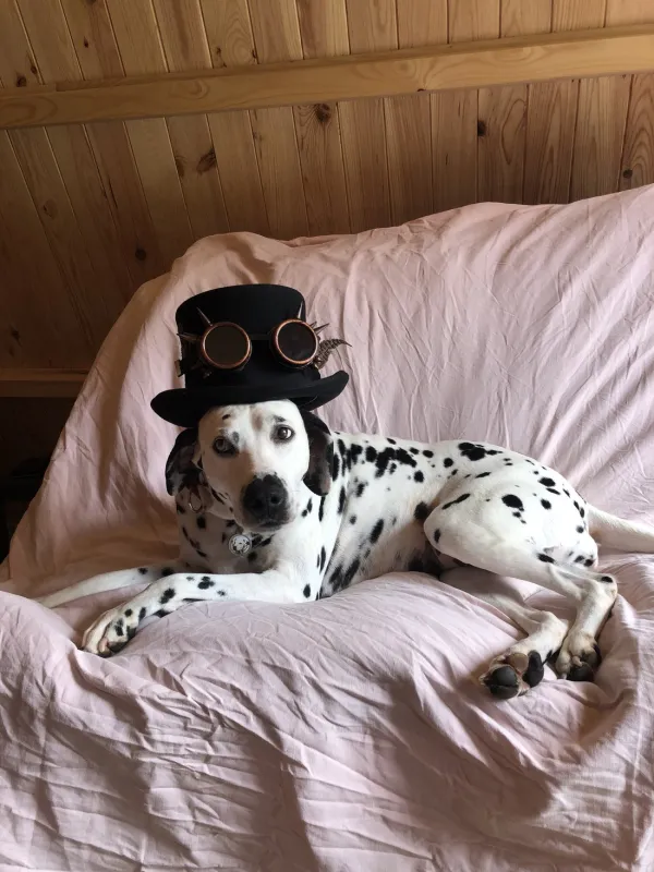 Domaine du Coq Rouge