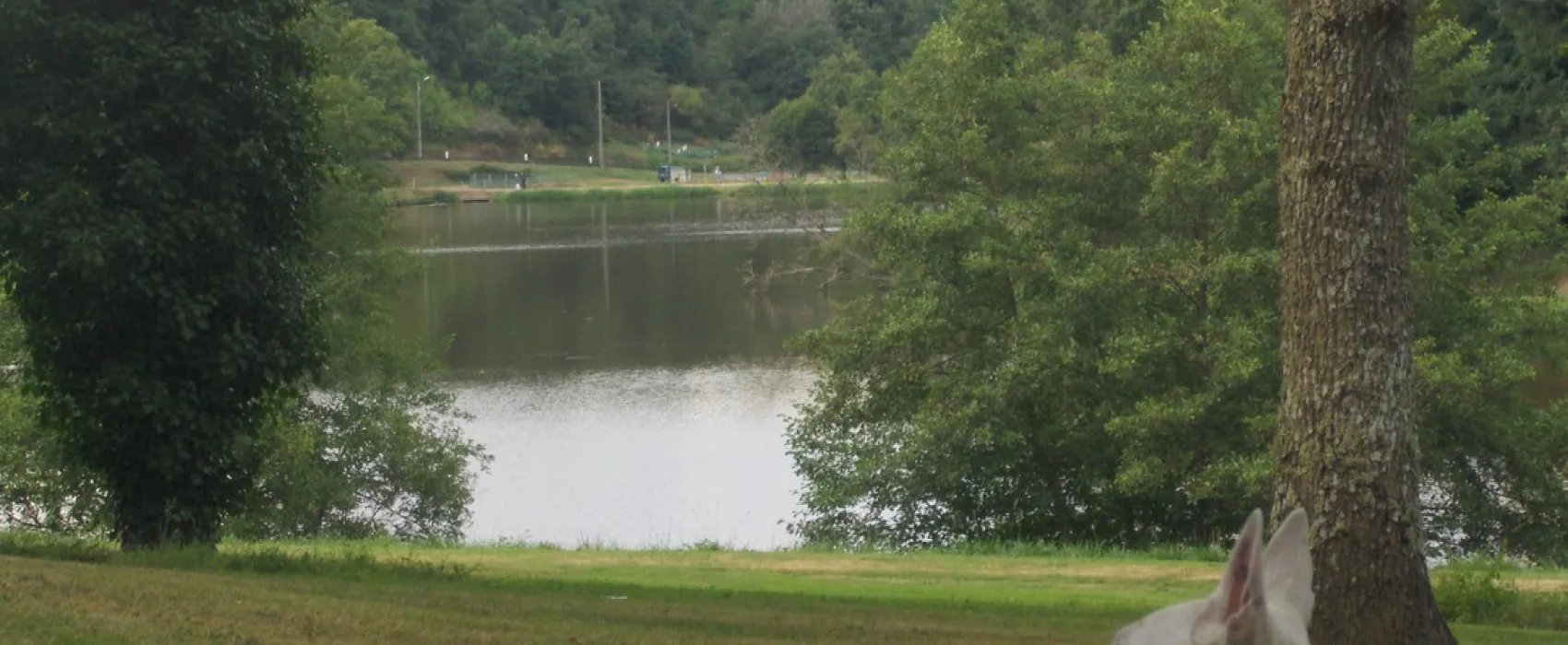 Camping de la Météorite
