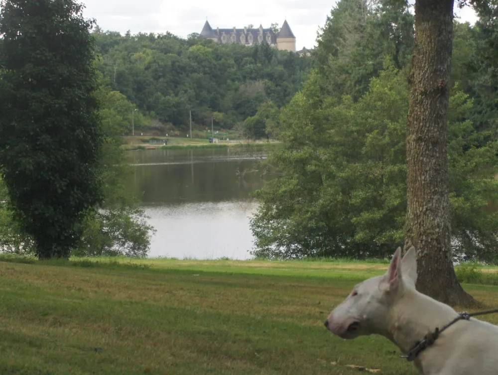 Camping de la Météorite