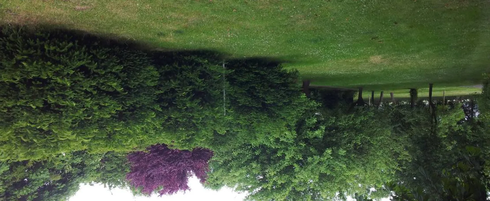 Mini-Camping am Mittelhof Höper