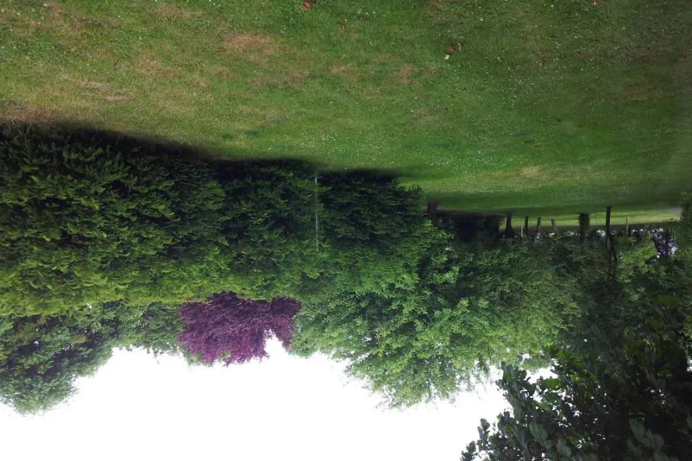 Mini-Camping am Mittelhof Höper