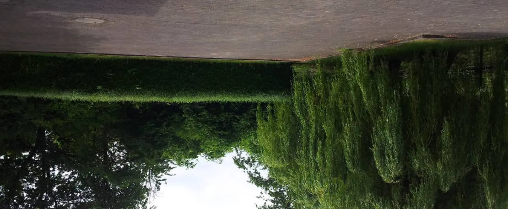 Mini-Camping am Mittelhof Höper