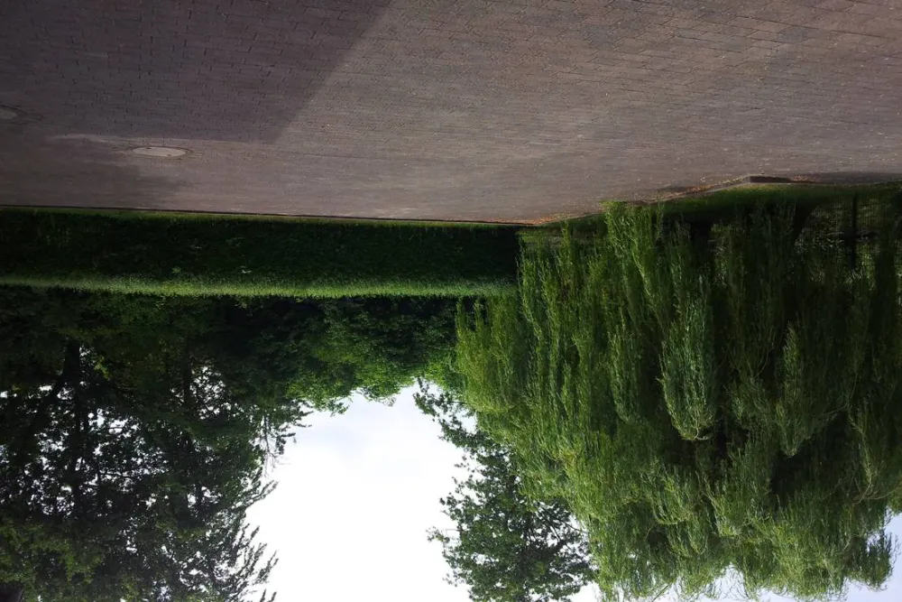 Mini-Camping am Mittelhof Höper