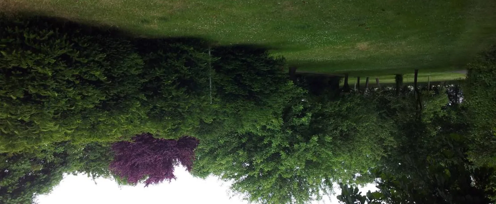 Mini-Camping am Mittelhof Höper