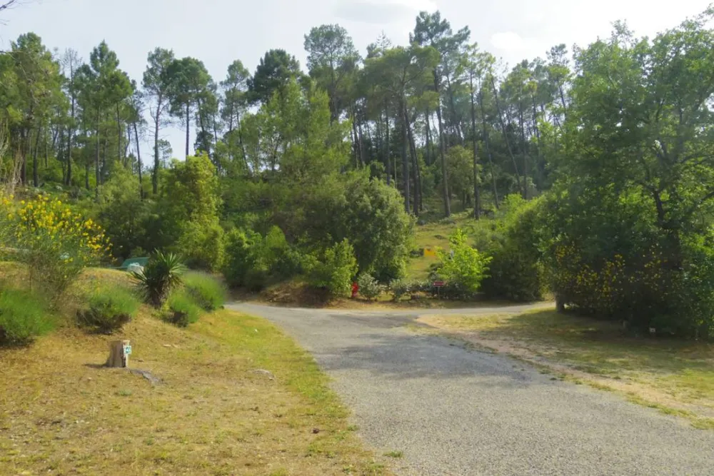 Camping Municipal Les Pouverels