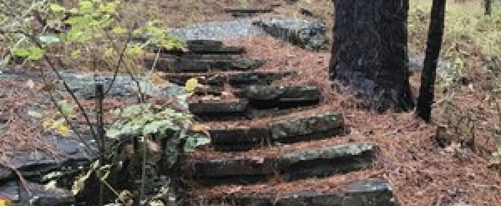 Cedar Lake Campground