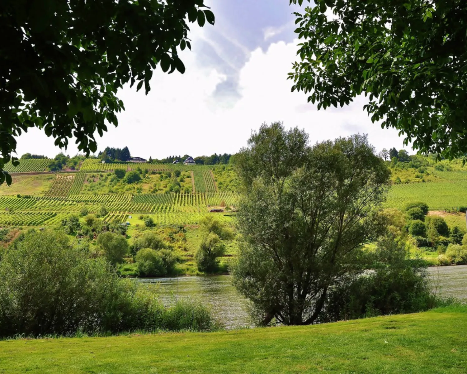Moselland in Deutschland - Spottocamp - Spottocamp