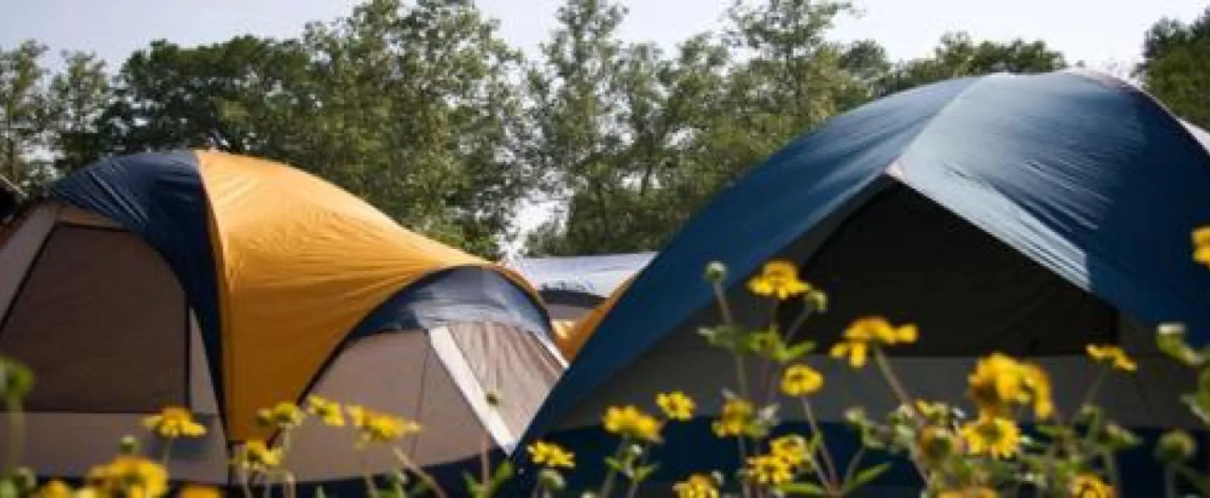 Echo Canyon Campground