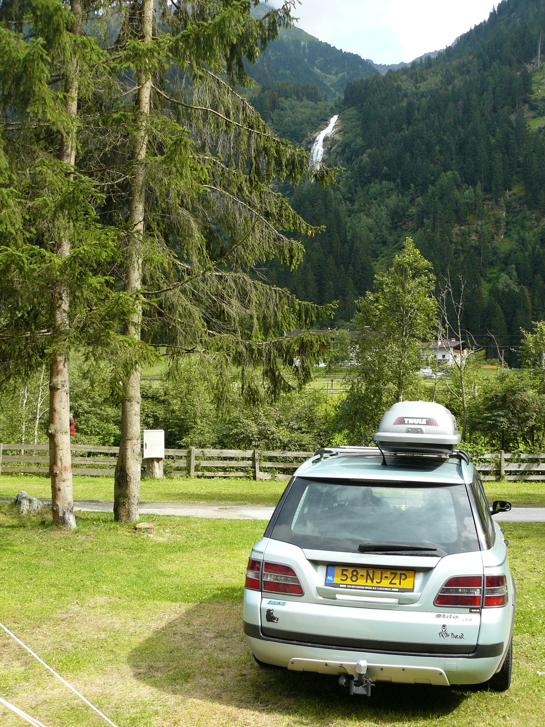 Edelweiss photo 4