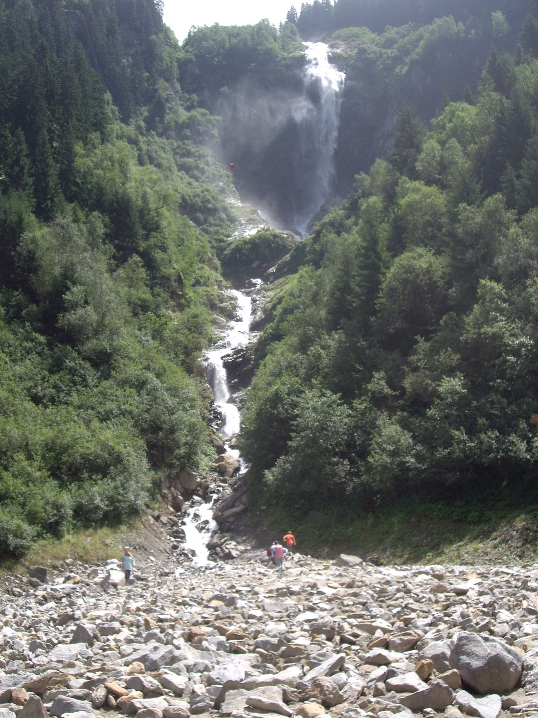 Edelweiss photo 5