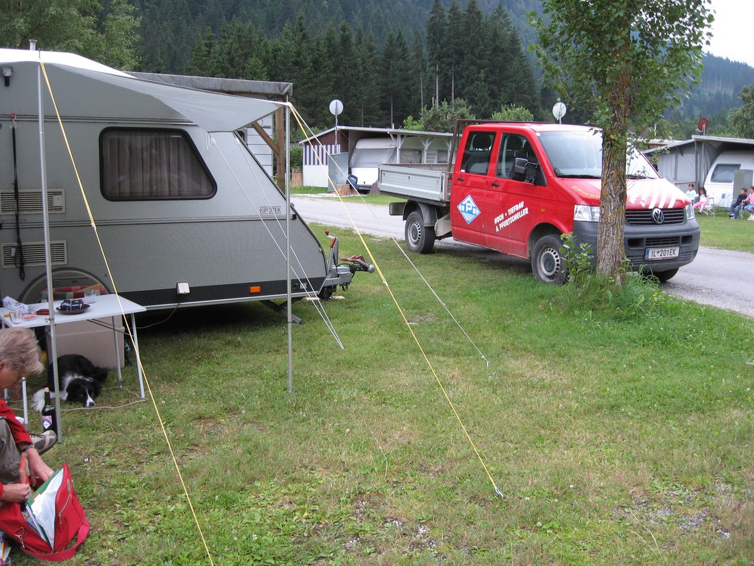 Edelweiss photo 2