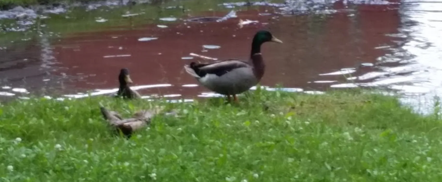 Hidden Valley Camping Resort