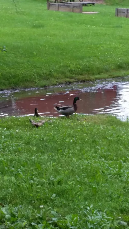 Hidden Valley Camping Resort